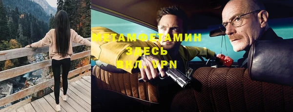 гидра Мегион