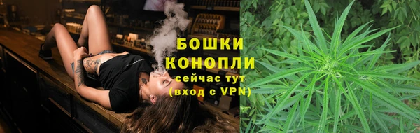 гидра Мегион