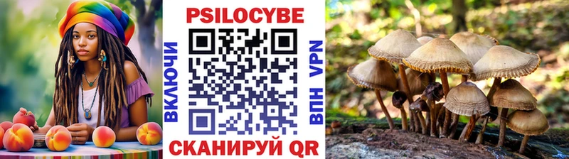 Псилоцибиновые грибы Magic Shrooms  Владивосток 