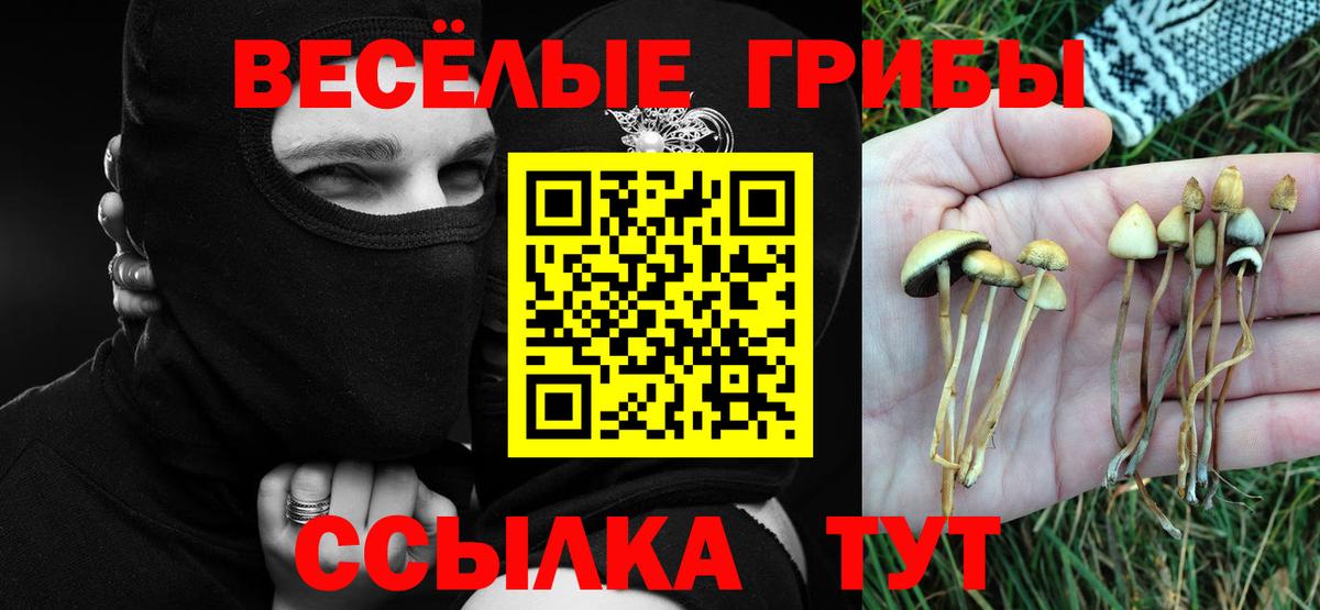 Псилоцибиновые грибы GOLDEN TEACHER Владивосток