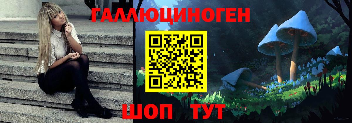 Галлюциногенные грибы Psilocybe  Вход с VPN  Владивосток  Псилоцибиновые грибы Magic Shrooms 