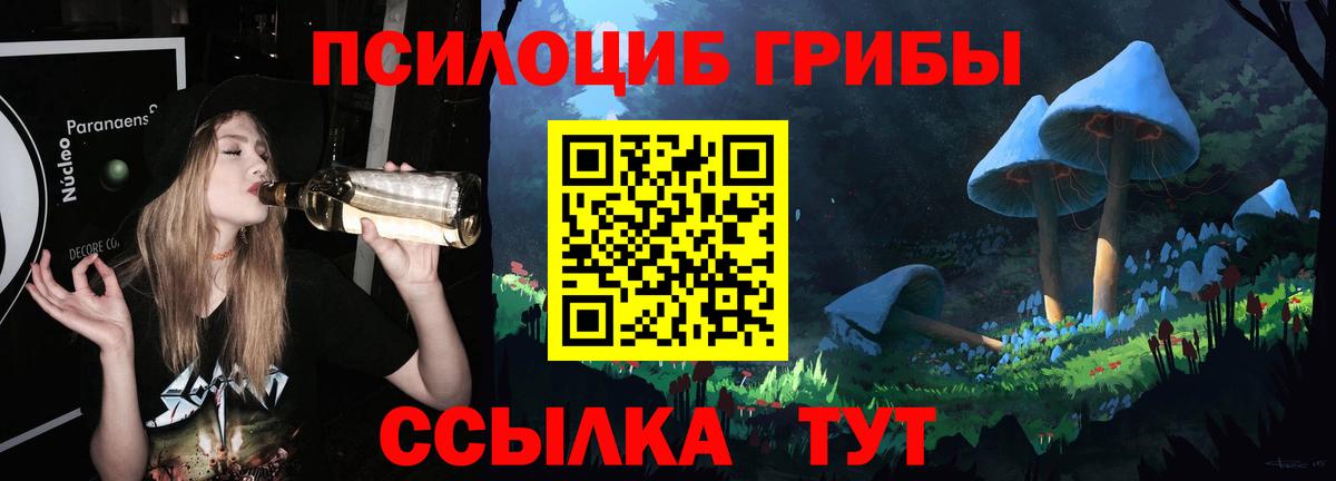 Псилоцибиновые грибы Psilocybe  Галлюциногенные грибы Psilocybine cubensis  Владивосток 