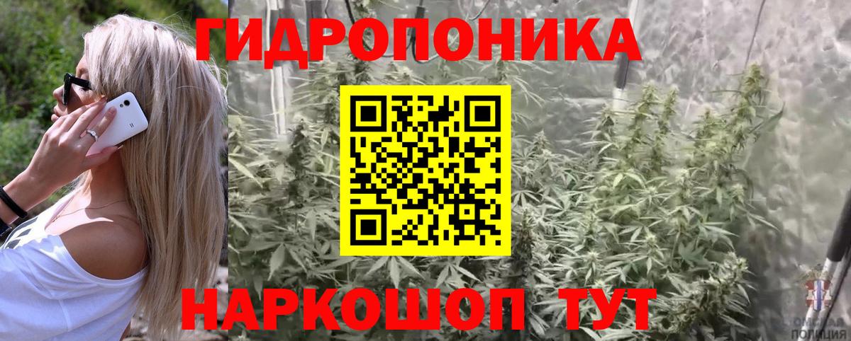 ГАШИШ Владивосток